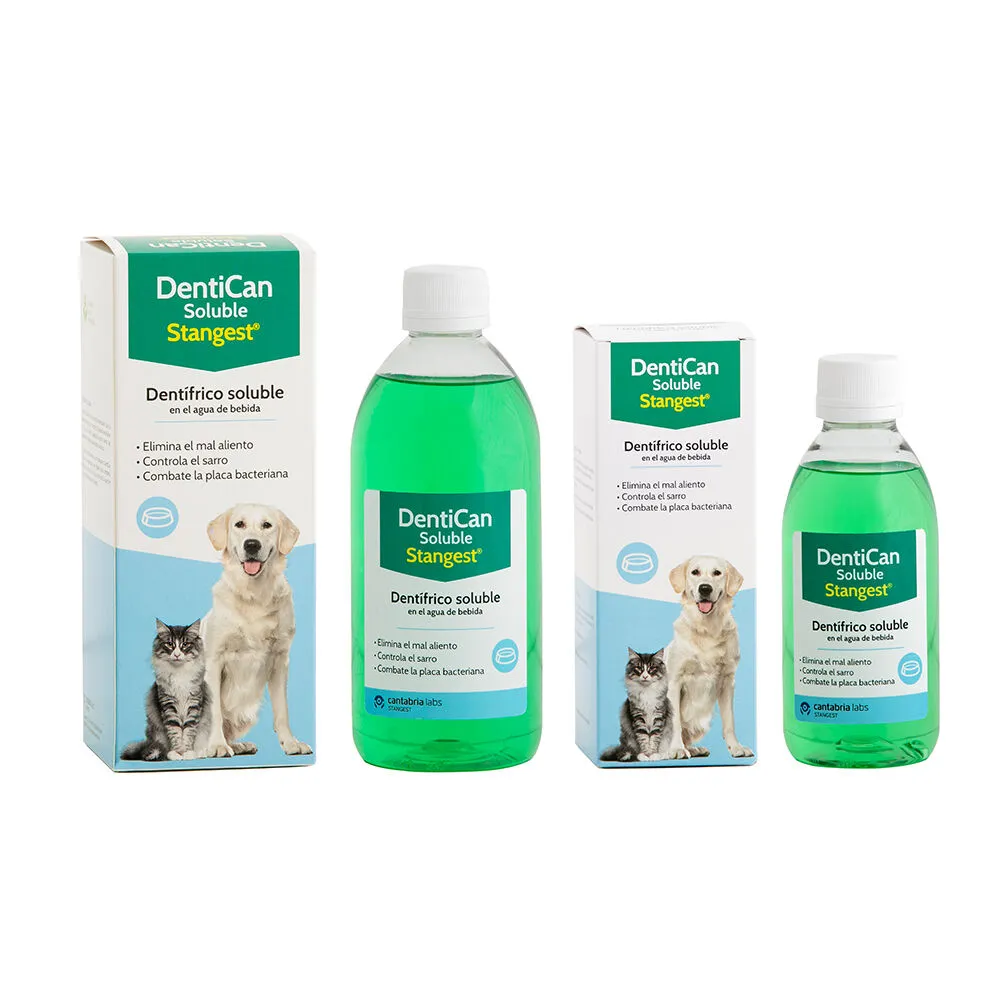 Satngest dentican soluble 500 ml