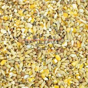 [10000050] Mixtura gallines camperes Agroveco 25kg