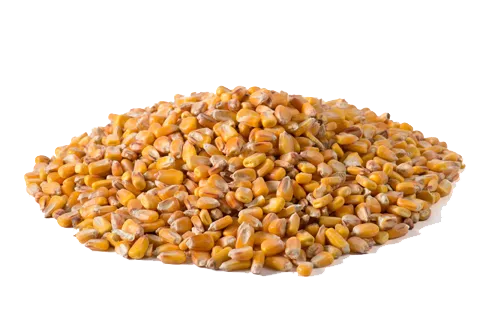 [40000184] Maiz grano primera Pastor 25kg