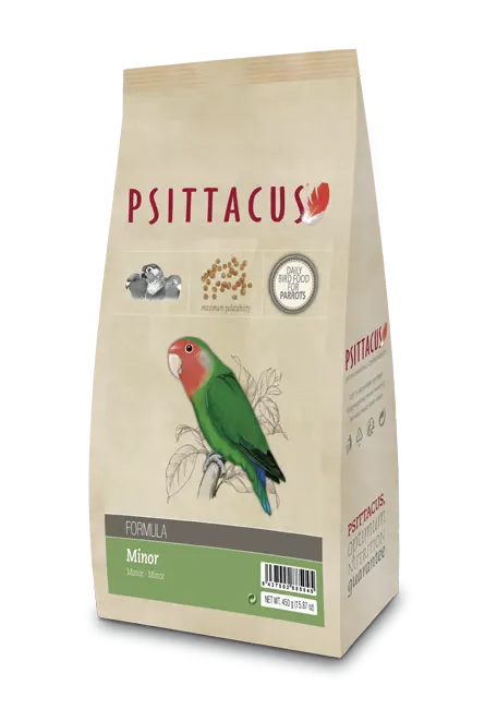 Psittacus minor 450 g