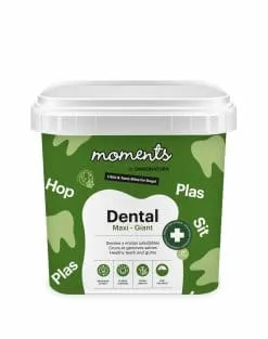[R10012] Moments Dental maxi 500g