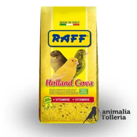 [Rav300204] raff.holland.cova.1kg