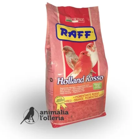 [RAV300304] Raff holland rosso 1kg