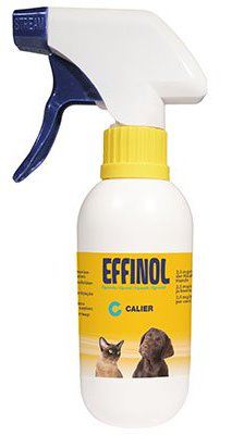 [000618] Effinol spray 250ml