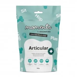Moments Articular 150g